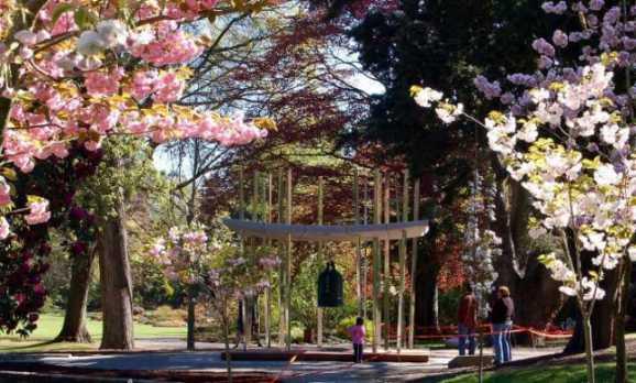 Christchurch Botanical Gardens