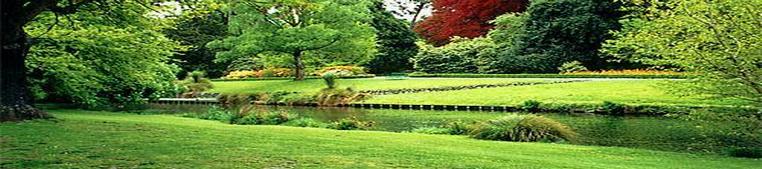 Leafy Christchurch