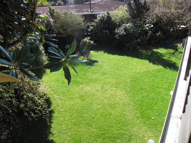 Garden from Balcony